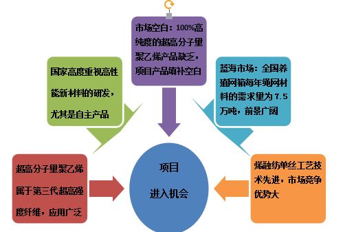 超高分子量聚乙烯产研销基地建设项目商业计划书参考模板